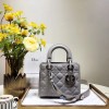 [premium] D 디* 레이디백 20CM