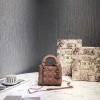 [premium] D 디* 레이디 신상 17CM