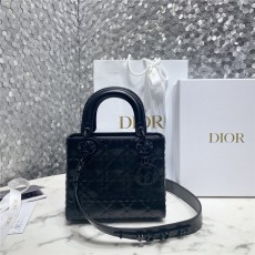 [premium] D 디* 레이디 마이 ABC